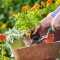 Summer Gardening — Mansfield Lawn Care Professionals Share Tips To Keep Your Garden Green And Thriving